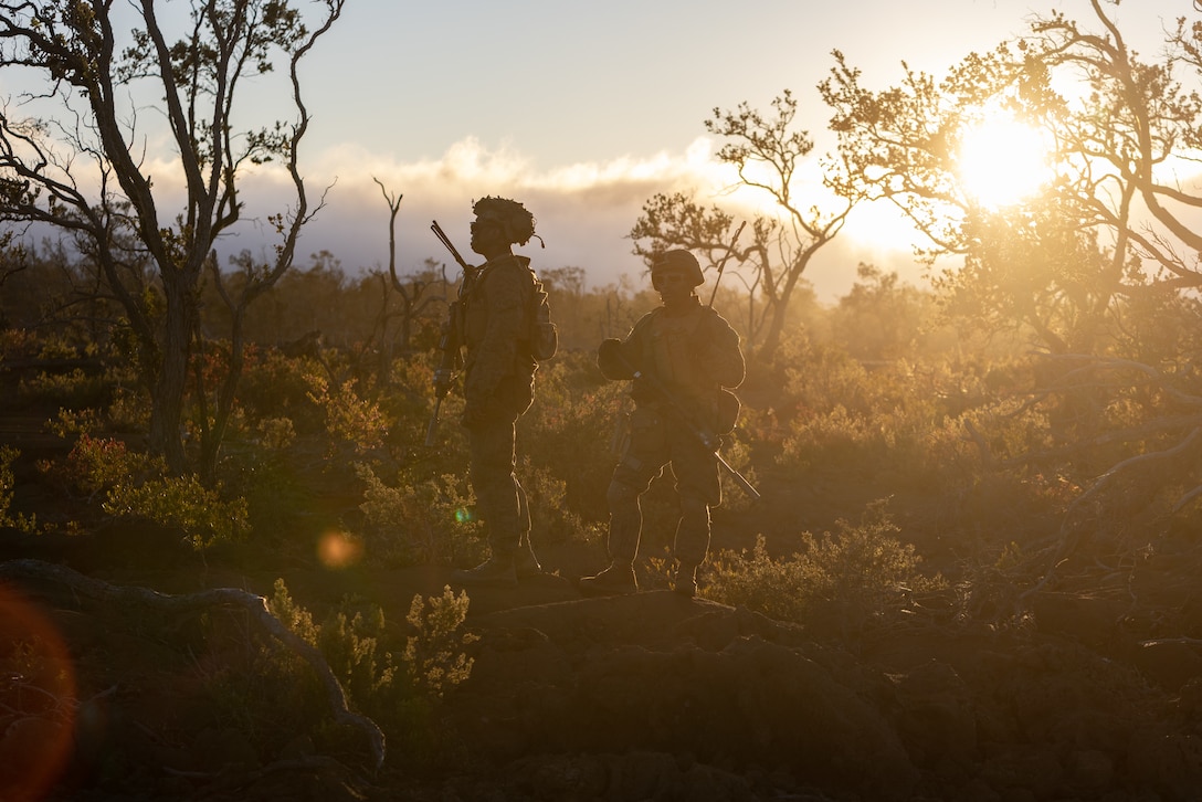 U.S. Marines with 3d Littoral Combat Team, 3d Marine Littoral Regiment, 3d Marine Division, patrol for company attacks during exercise Bougainville III at Pohakuloa Training Area, Feb. 7, 2024. Bougainville III is a 3d LCT live-fire exercise focused on decentralized operations to prepare the battalion to command and control forces from dispersed locations. (U.S. Marine Corps photo by Lance Cpl. Clayton Baker)