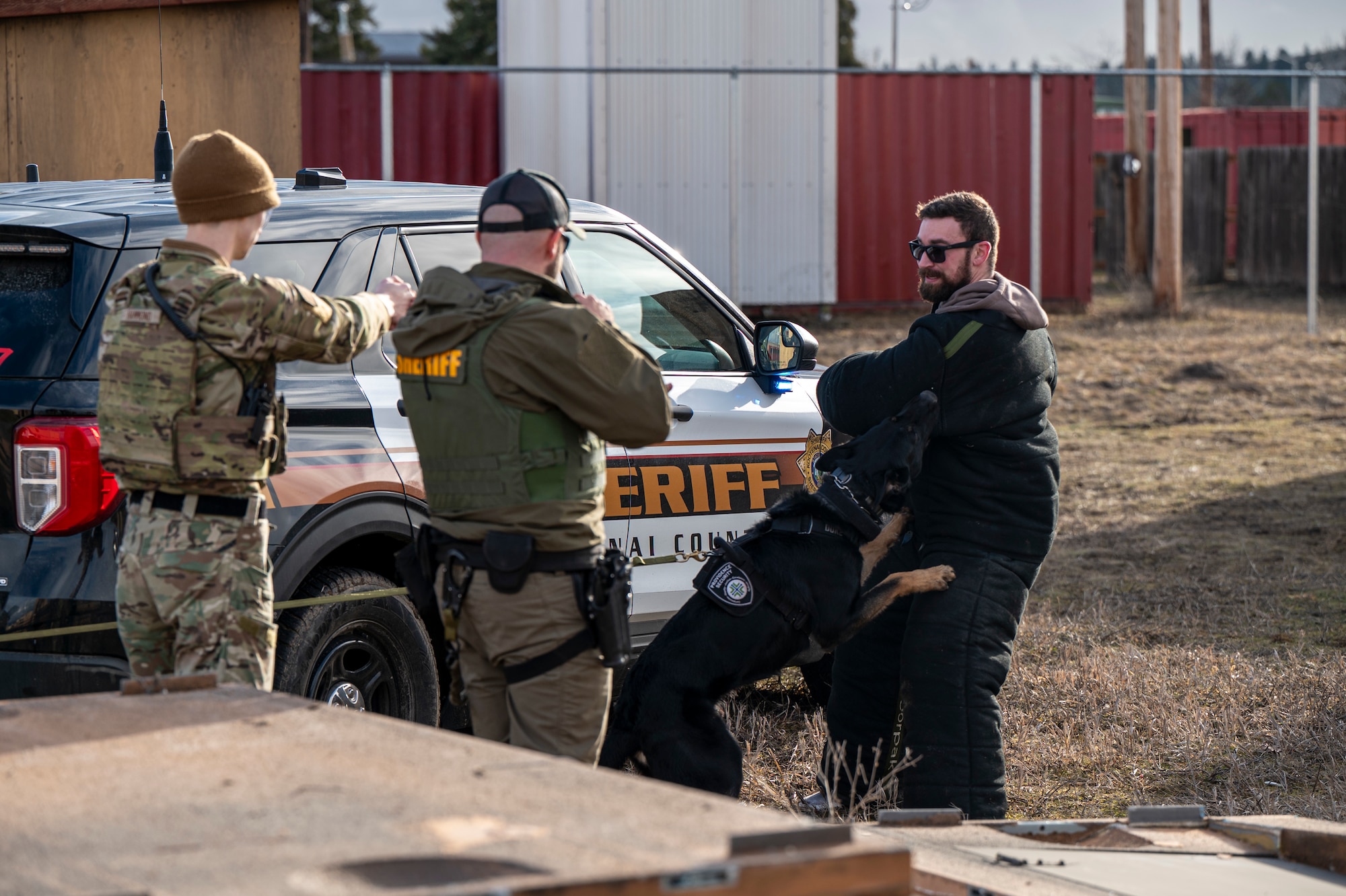 Two people and a k-9 dog arrest a person