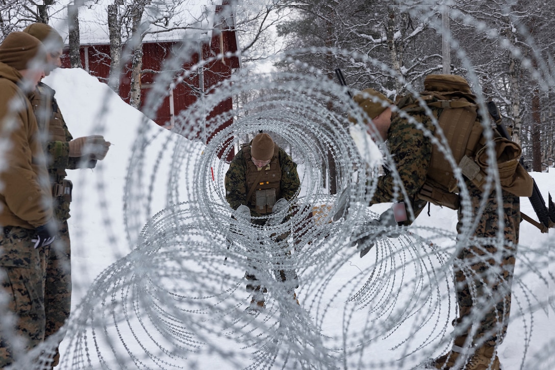 Two Marines handle wire in a cold, snowy climate as two other Marines watch.