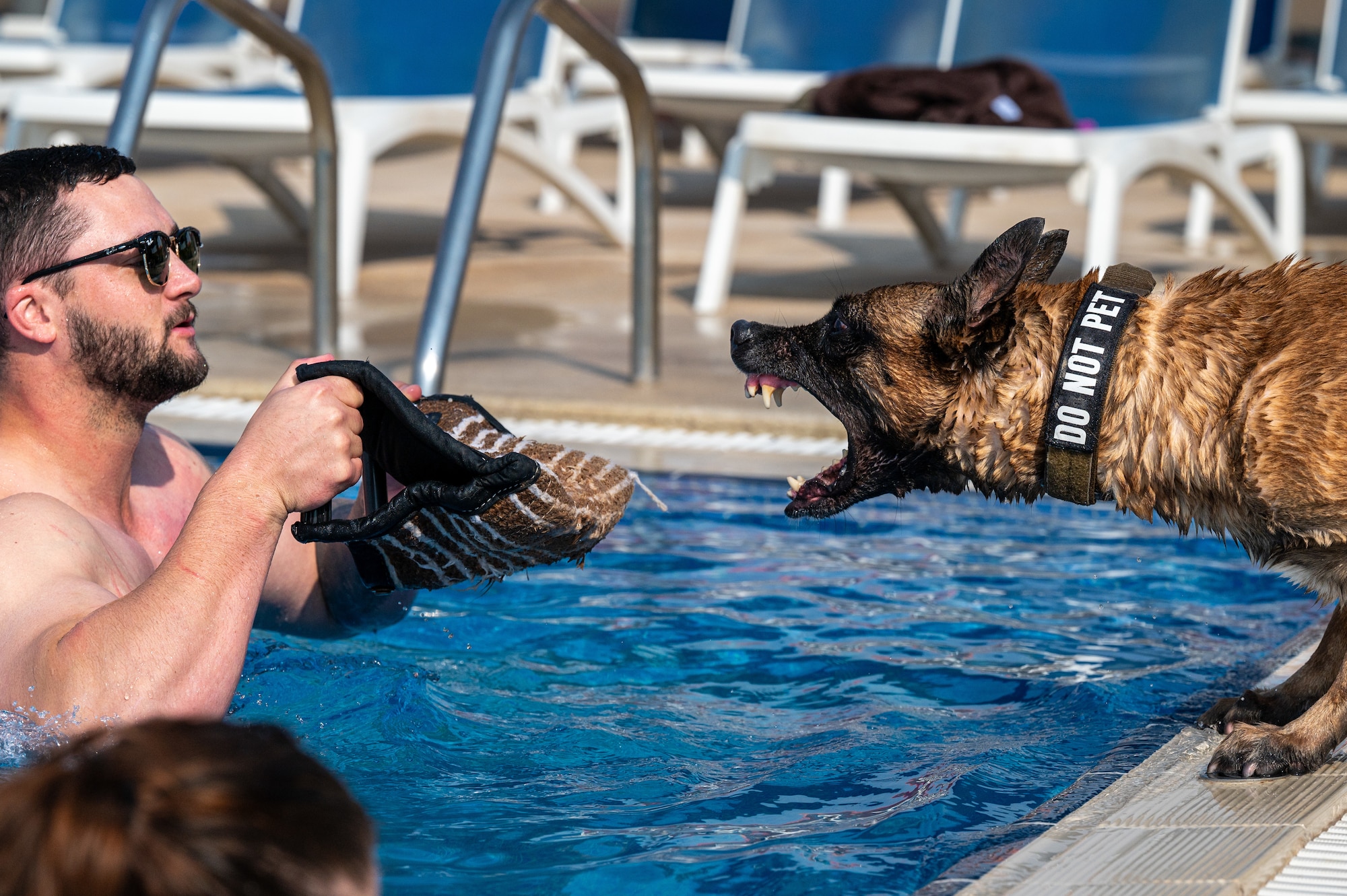 A U.S. Air Force Military Working Dog handler and his MWD participate in water familiarization training at an undisclosed location in the U.S. Central Command area of responsibility, Feb. 26, 2024. MWD handlers and their working dogs work together to train on commands in all environments to ensure they are ready to respond anytime, anywhere. (U.S. Air Force courtesy photo)