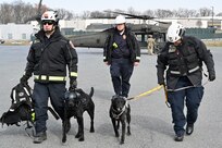 Maryland Task Force 1 (MD-TF1) and Virginia Task Force 1 (VA-TF1) of the Federal Emergency Management Agency (FMEA) train during an Urban Search and Rescue Task Force exercise, at Montgomery County Airpark and Public Safety Training Academy (PSTA), Feb. 15, 2024. The training represents a new partnership for members of the D.C. National Guard’s Aviation Detachment, nicknamed District Dustoff, designed to improve interoperability and familiarity between partners involved in disaster response in the DMV.