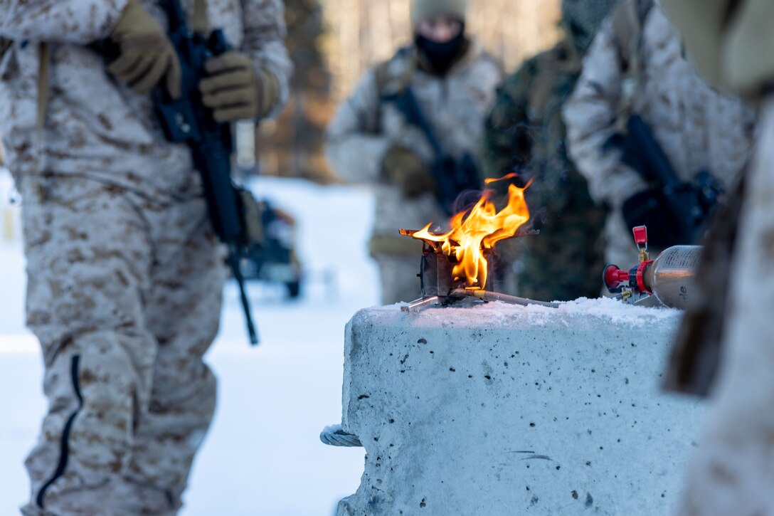 ARCTIC EDGE 2024: Fox 2/14 Marines conduct cold weather training