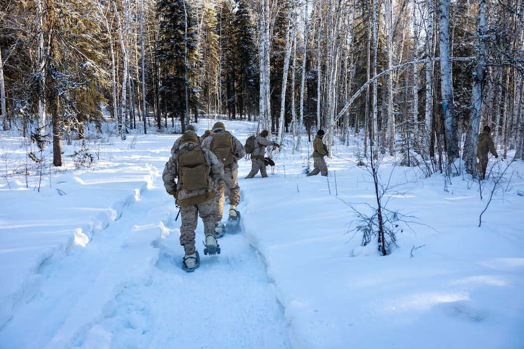 ARCTIC EDGE 2024: Fox 2/14 Marines conduct cold weather training