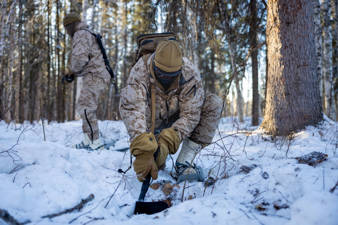 ARCTIC EDGE 2024: Fox 2/14 Marines conduct cold weather training