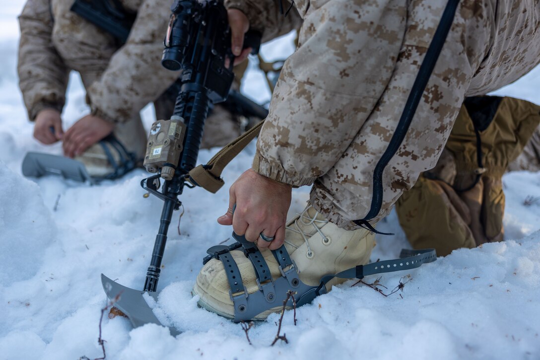 ARCTIC EDGE 2024: Fox 2/14 Marines conduct cold weather training