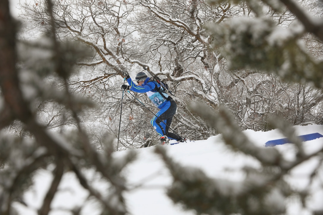 A guardsman skis down a snowy mountain as seen through snow-covered tree branches.