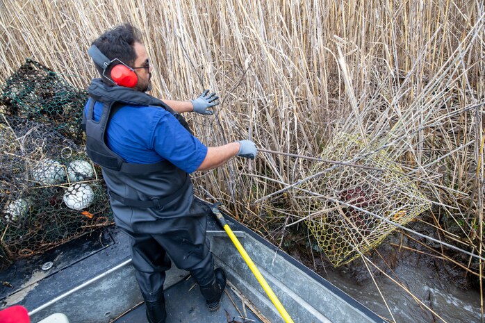 Each year, the Texas Parks and Wildlife Division (TPWD) closes crab fishing with wire mesh crab traps for ten days to give volunteers the opportunity to round up lost and abandoned traps. The closure is traditionally in late February or early March. Unattended traps “ghost fish” and kill blue crabs and other species unnecessarily and can also create a navigation hazard for boaters.
According to a press release from TPWD, since the “Crab Trap Roundup” began 22 years ago, volunteers have removed 42,500 derelict traps, saving an estimated 700,000 blue crabs, a valuable natural resource.
Each year at the Wallisville Lake Project, U.S. Army Corps of Engineers (USACE), Galveston District (SWG) personnel join the Crab Trap Roundup, while they patrol.
