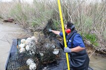 Each year, the Texas Parks and Wildlife Division (TPWD) closes crab fishing with wire mesh crab traps for ten days to give volunteers the opportunity to round up lost and abandoned traps. The closure is traditionally in late February or early March. Unattended traps “ghost fish” and kill blue crabs and other species unnecessarily and can also create a navigation hazard for boaters.
According to a press release from TPWD, since the “Crab Trap Roundup” began 22 years ago, volunteers have removed 42,500 derelict traps, saving an estimated 700,000 blue crabs, a valuable natural resource.
Each year at the Wallisville Lake Project, U.S. Army Corps of Engineers (USACE), Galveston District (SWG) personnel join the Crab Trap Roundup, while they patrol.