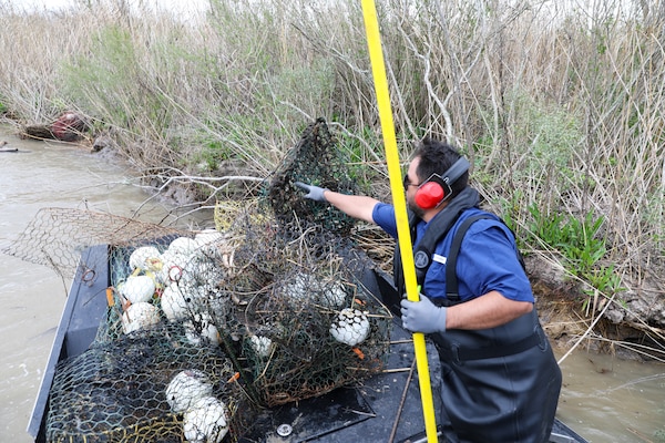 Each year, the Texas Parks and Wildlife Division (TPWD) closes crab fishing with wire mesh crab traps for ten days to give volunteers the opportunity to round up lost and abandoned traps. The closure is traditionally in late February or early March. Unattended traps “ghost fish” and kill blue crabs and other species unnecessarily and can also create a navigation hazard for boaters.
According to a press release from TPWD, since the “Crab Trap Roundup” began 22 years ago, volunteers have removed 42,500 derelict traps, saving an estimated 700,000 blue crabs, a valuable natural resource.
Each year at the Wallisville Lake Project, U.S. Army Corps of Engineers (USACE), Galveston District (SWG) personnel join the Crab Trap Roundup, while they patrol.