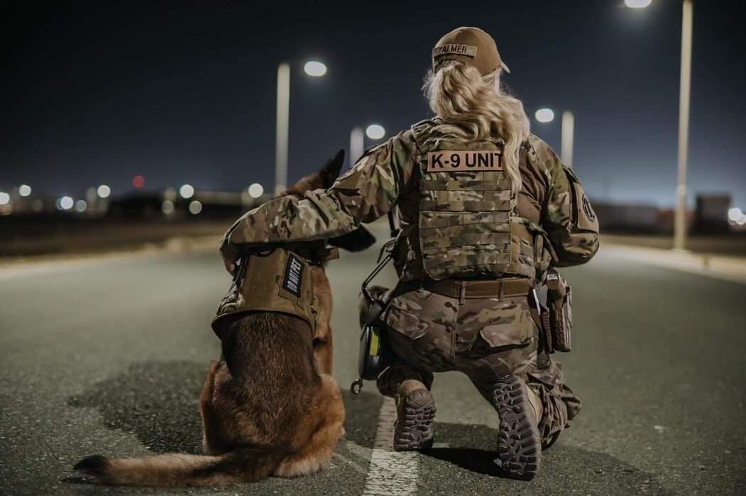 Security force member kneels while MWD sits on a road facing away.