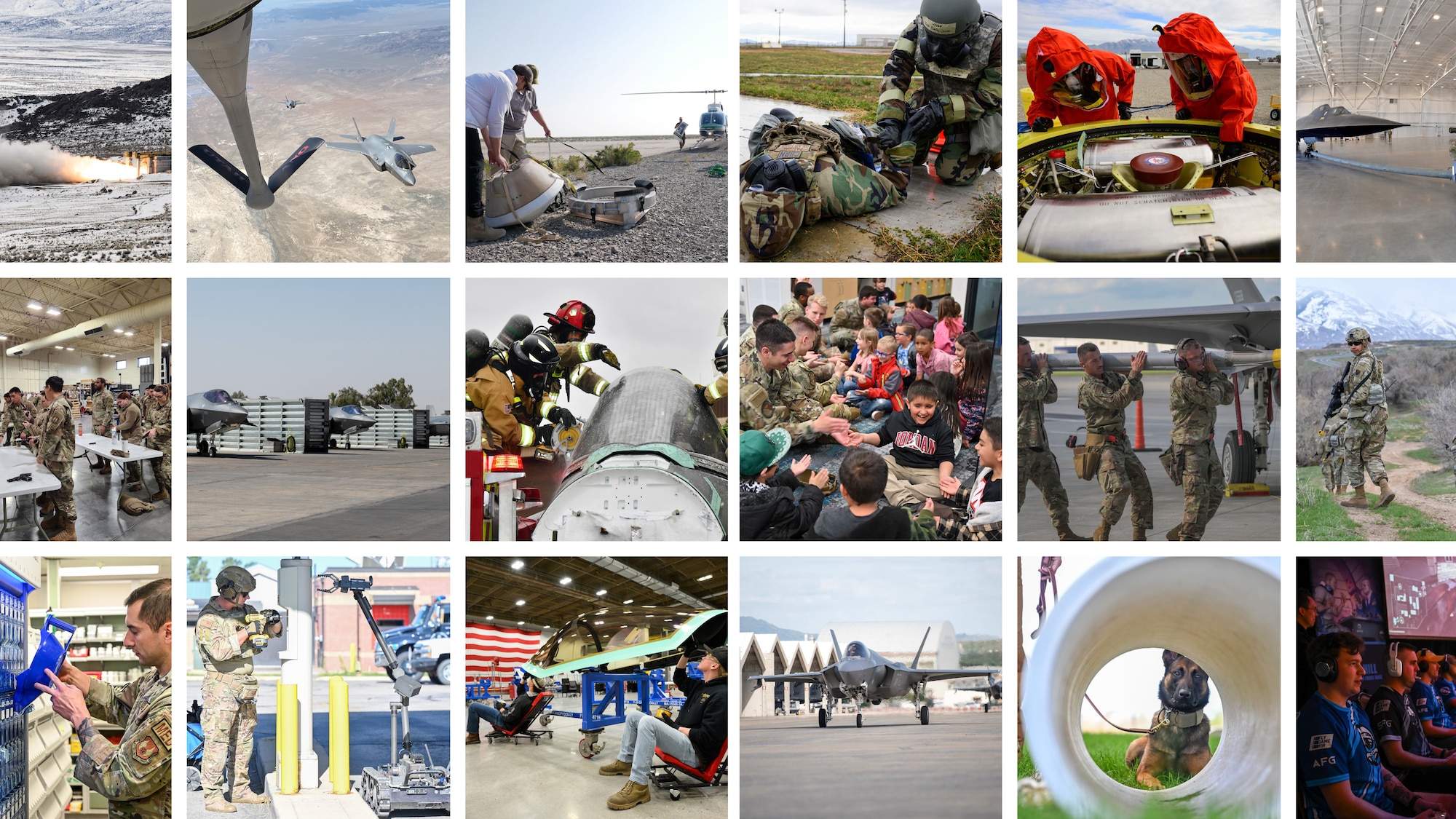 Collage of various photos from the past year
