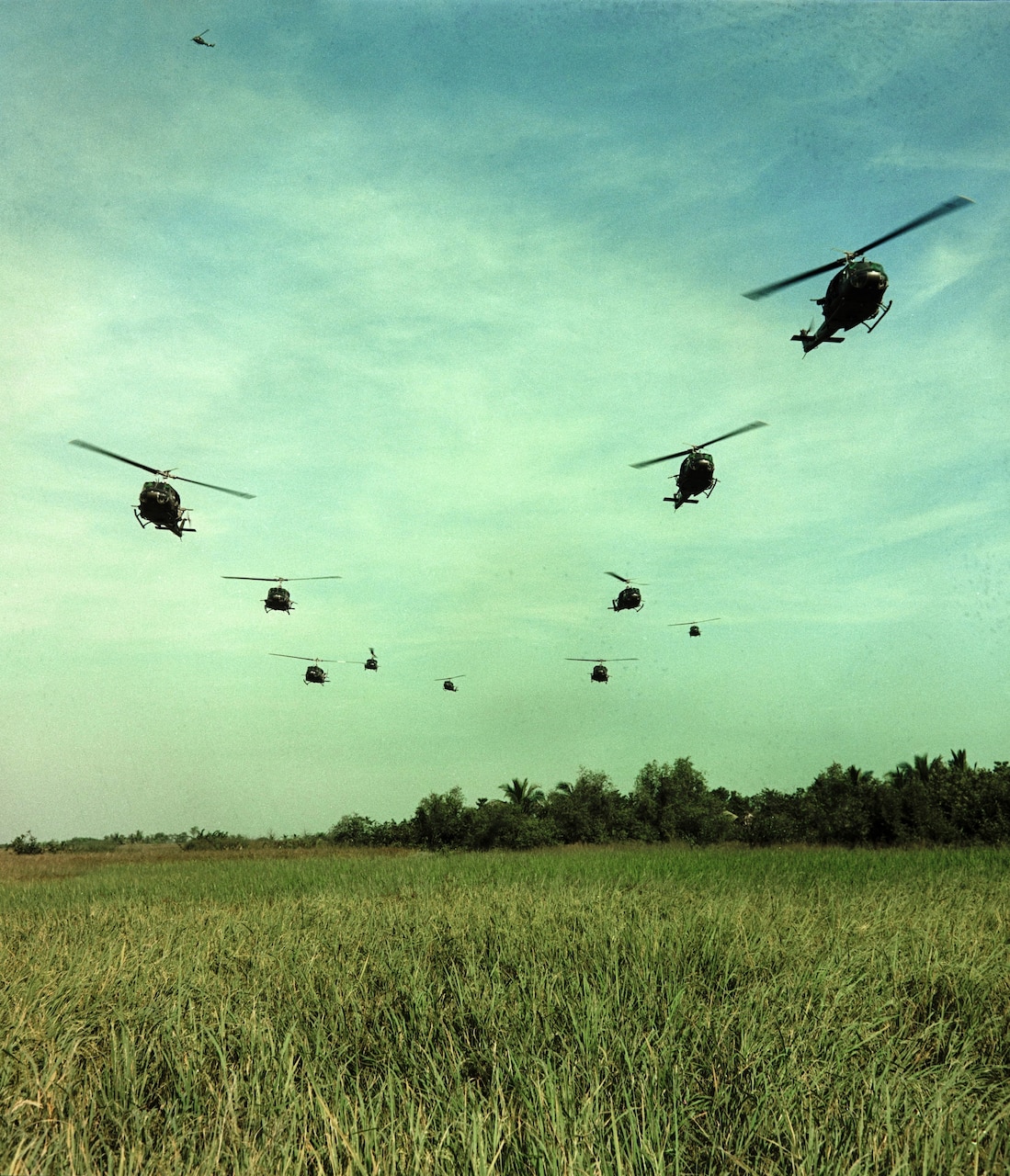 Ten helicopters fly above a grassy field.