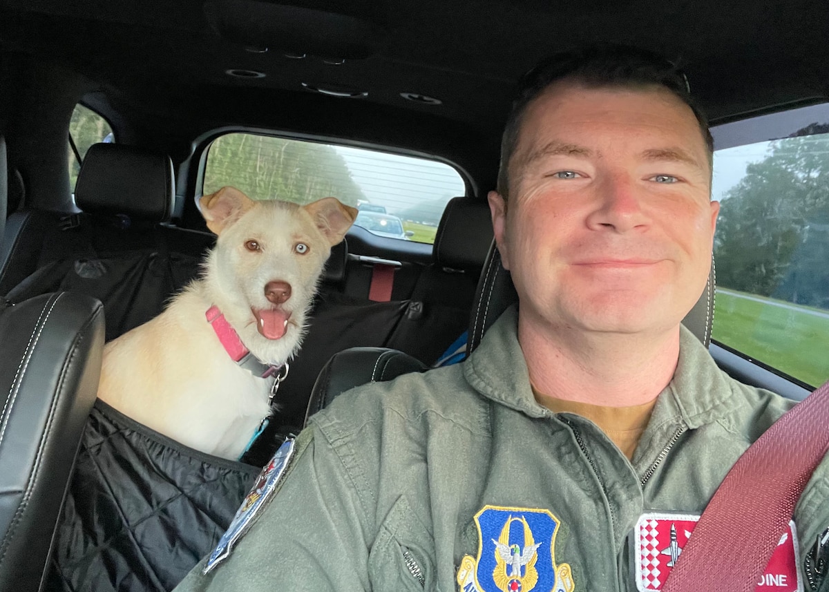 Man with therapy dog