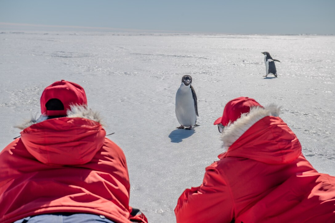 Two Coast Guardsmen in red winter jackets lie on the ice and watch two penguins.