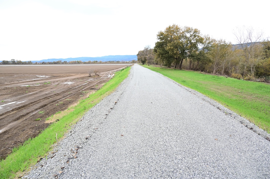 Road on a mound of levee dirt with farmland on the left and trees on the right.