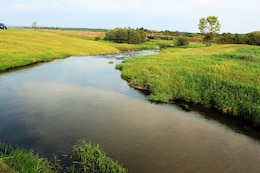 Wetlands