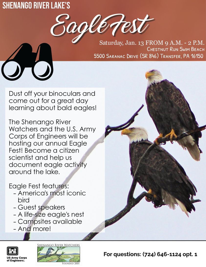 Corps announces fourth annual Eagle Fest at Shenango River Lake >  Pittsburgh District > News Releases