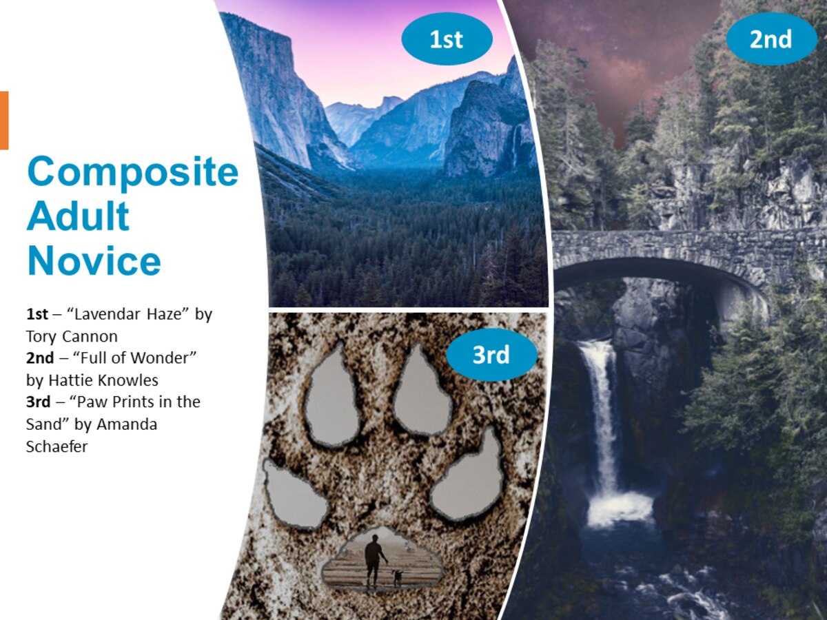 photos of the first, second and third place winners