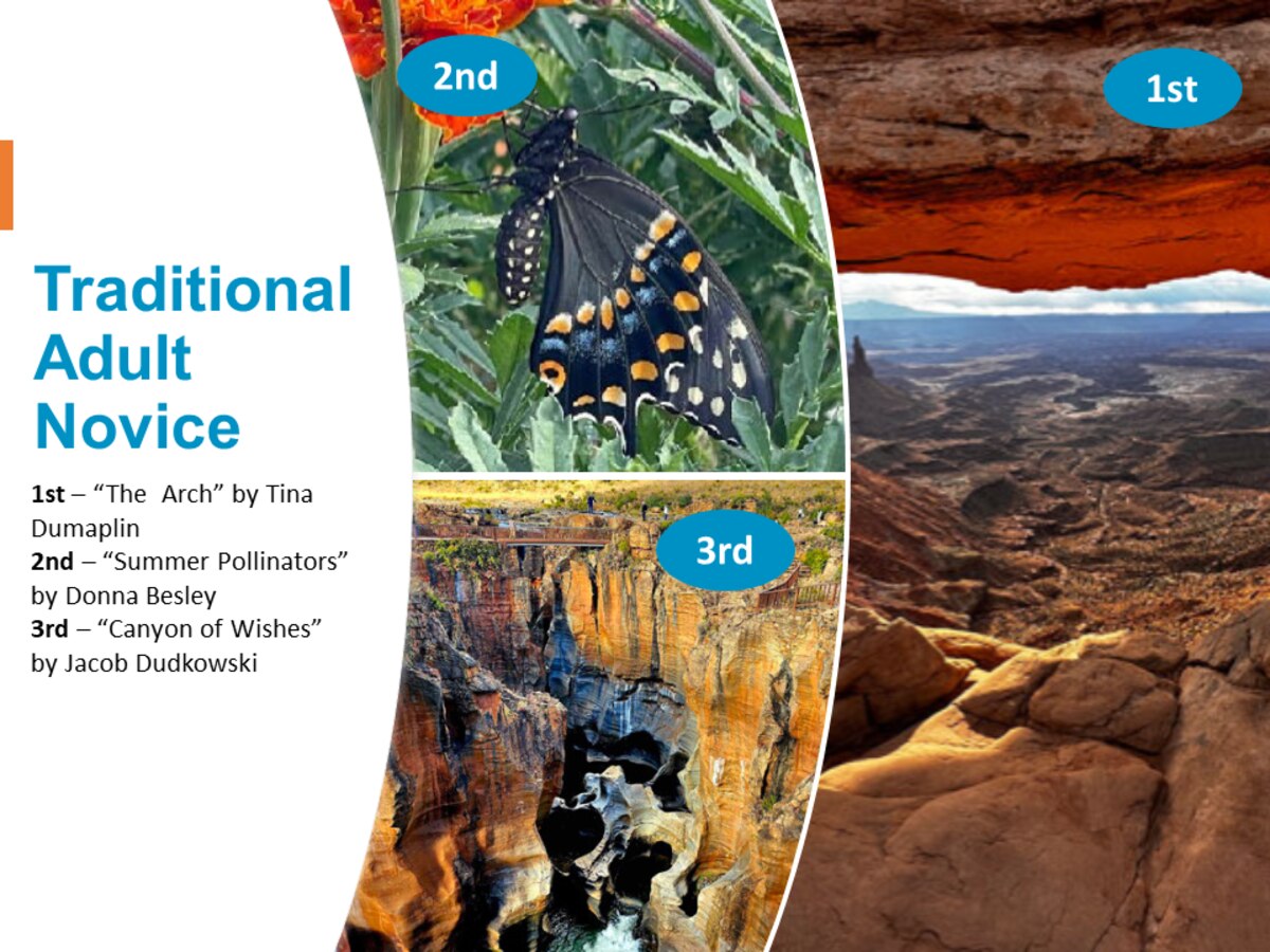 photos of the first, second and third place winners