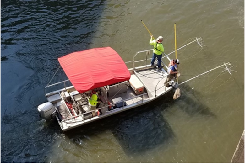 Electrofishing for ANS