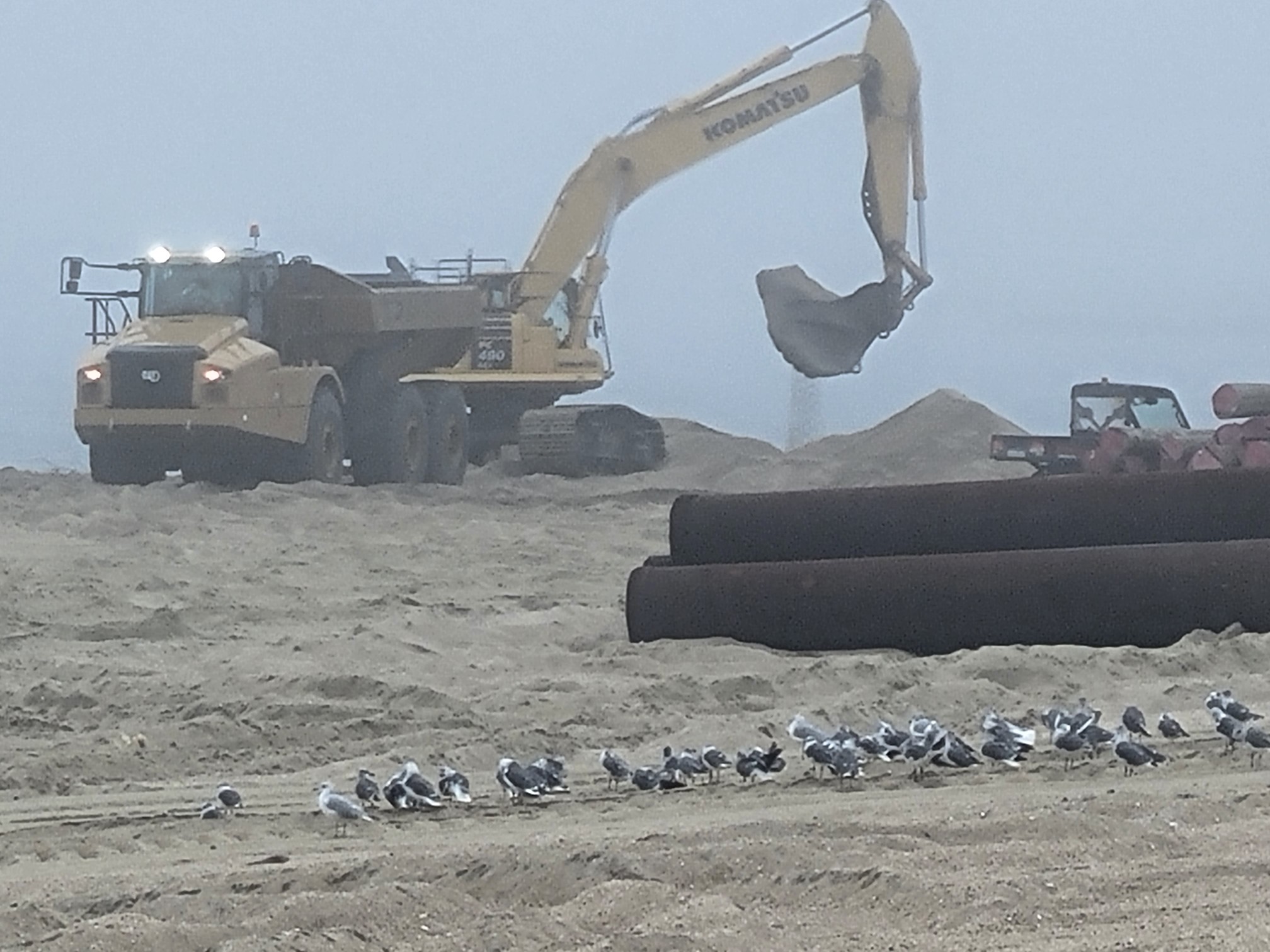 To the rescue: NJ community receives coastal restoration project > New ...