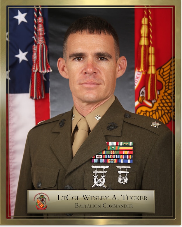 3d Intelligence Battalion Commanding Officer Lieutenant Colonel Wesley A. Tucker Bio Photo