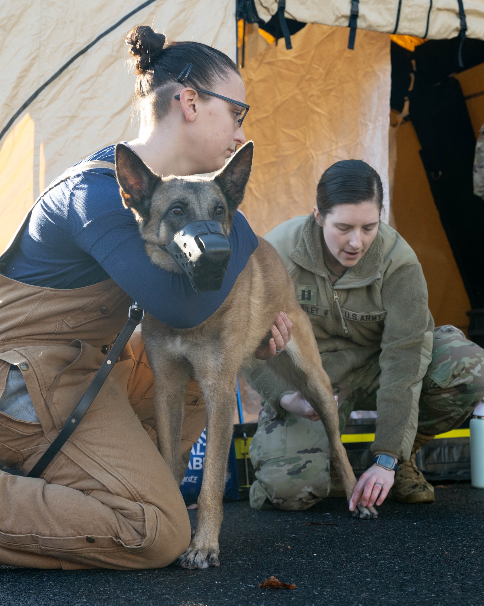 U.S. Army Capt. Alicia Bailey, right, Dover Air Force Base Veterinary Treatment Facility officer in charge, and U.S. Air Force Senior Airman Courtney Burns, 436th Security Forces Squadron military working dog handler, demonstrate decontamination techniques on Military Working Dog Zorro during a training session at Dover Air Force Base, Delaware, Jan. 10, 2024. Members of the 436th Security Forces Squadron MWD section along with the Dover AFB Veterinary Treatment Facility and the 436th Medical Group Warm Zone team held a joint training session to practice the skills necessary to decontaminate MWDs and possibly save their lives in the aftermath of a nuclear, biological or chemical attack or spill. (U.S. Air Force photo by Mauricio Campino)