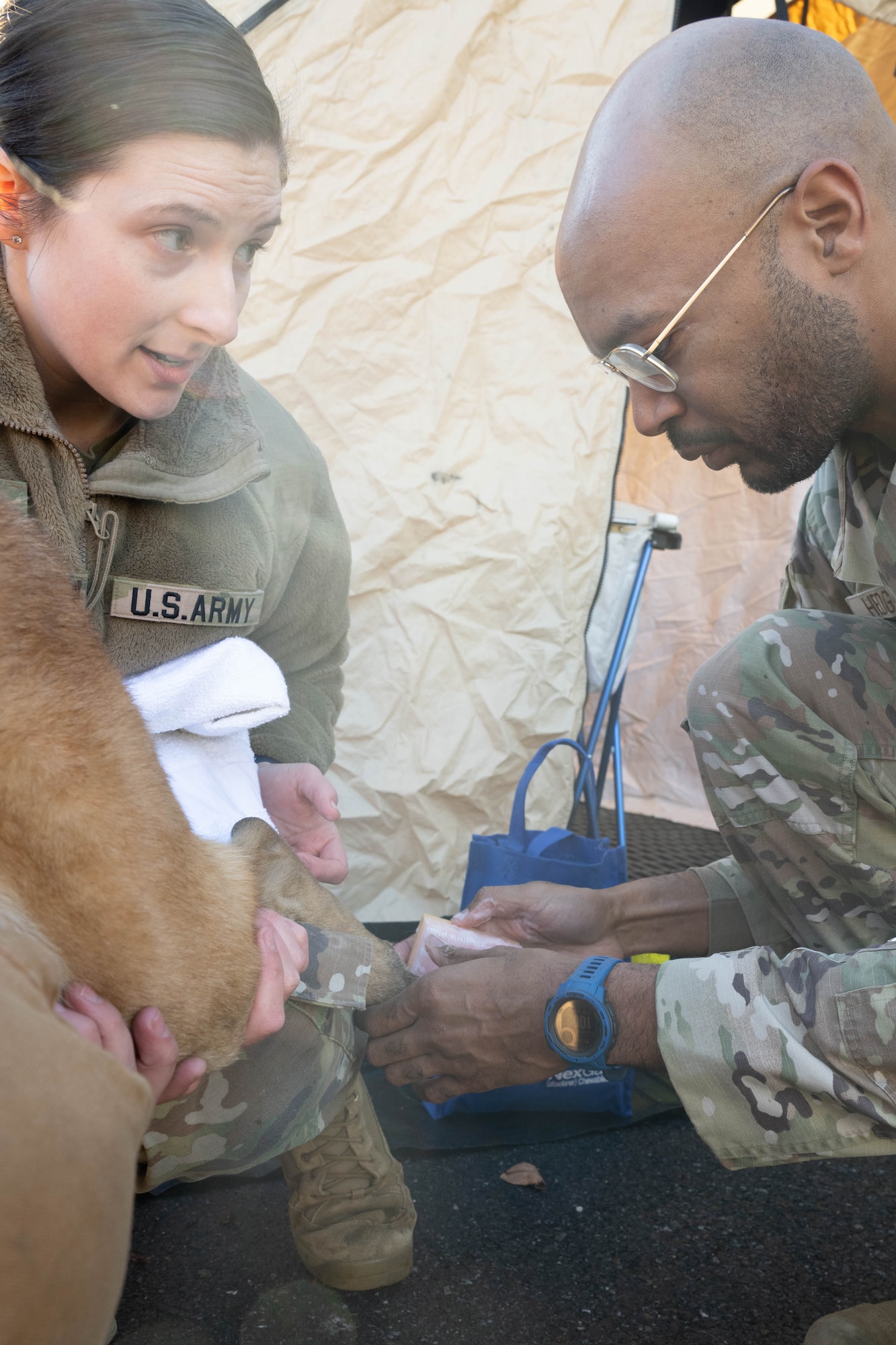 U.S. Army Capt. Alicia Bailey, left, Dover Air Force Base Veterinary Treatment Facility officer in charge, supervises U.S. Air Force Staff Sgt. Dominique Hedges, 436th Operational Medical Readiness Squadron physical therapy assistant, as he practices decontamination techniques on Military Working Dog Zorro during a training session at Dover Air Force Base, Delaware, Jan. 10, 2024. Members of the 436th Security Forces Squadron MWD section along with the Dover AFB Veterinary Treatment Facility and the 436th Medical Group Warm Zone team held a joint training session to practice the skills necessary to decontaminate MWDs and possibly save their lives in the aftermath of a nuclear, biological or chemical attack or spill. (U.S. Air Force photo by Mauricio Campino)