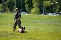 An Army Soldier dressed in fatigues stands on a lawn area with military working dog on a leash that is laying on the grass.