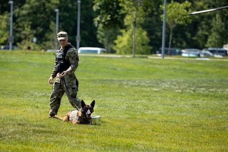 An Army Soldier dressed in fatigues stands on a lawn area with military working dog on a leash that is laying on the grass.