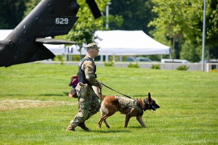 An Army Soldier dressed in fatigues walks on a lawn area with military working dog on a leash, looking away from the camera with the tail of a helicopter in the background.