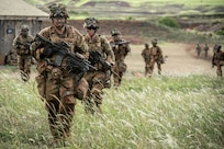 Soldiers in formation