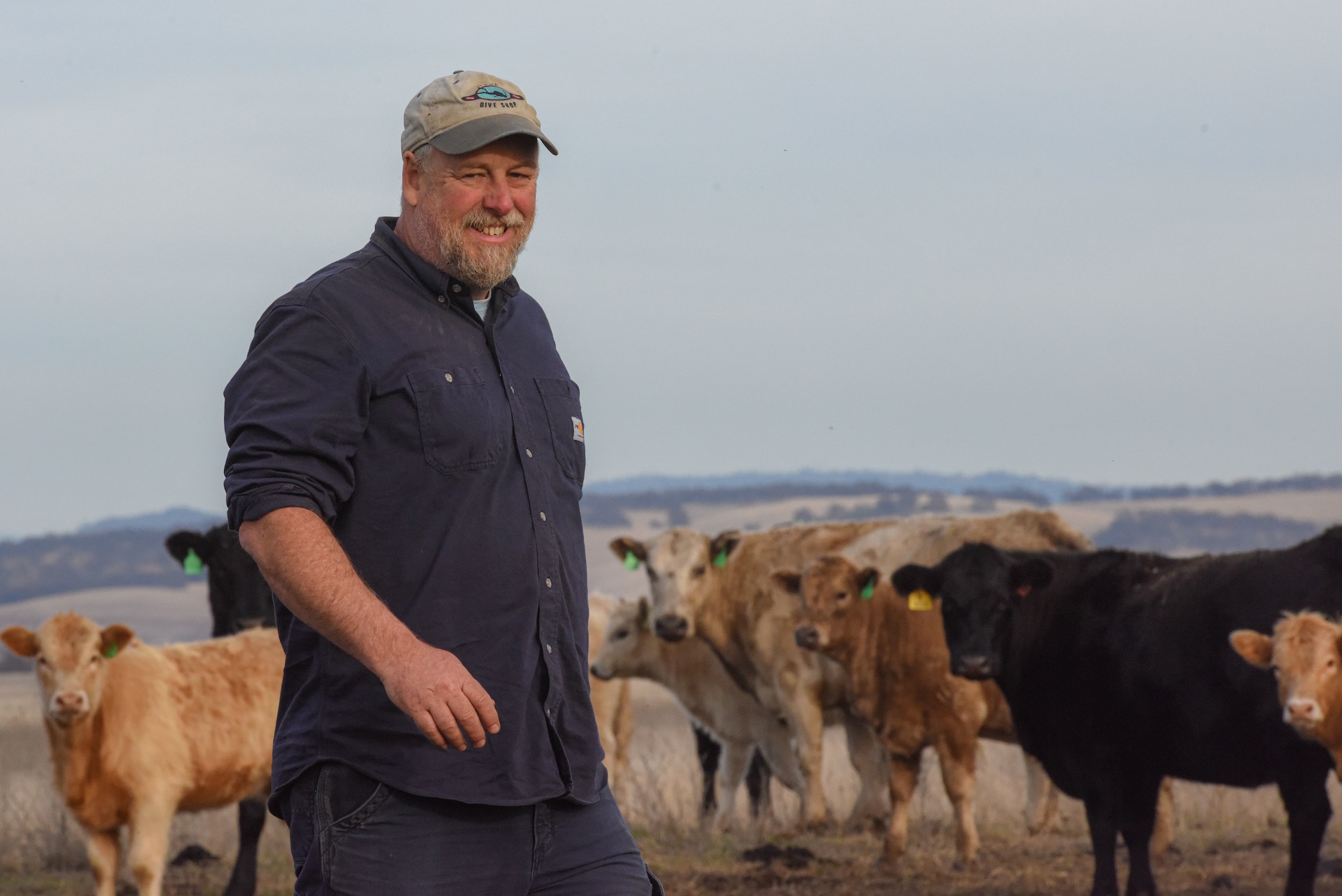 Geoffrey McGinnis, 9th Civil Engineer Squadron environmental protector specialist, walks through a herd of cattle after working on refilling a concrete water trough at Beale Air Force Base, California, Dec. 14, 2023.