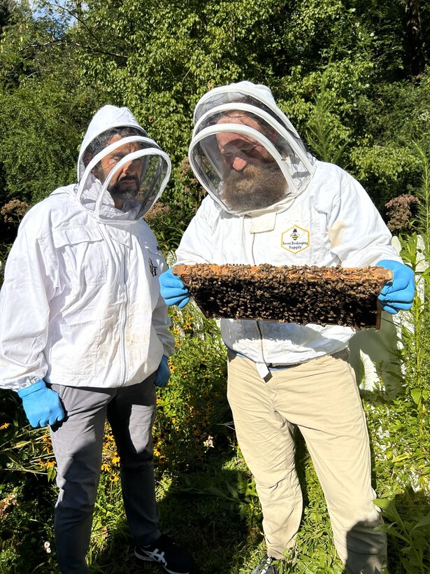 Beekeeping part of Army Reserve Soldier's recovery journey