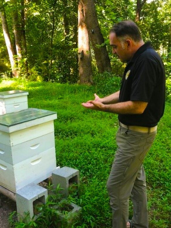Beekeeping part of Army Reserve Soldier's recovery journey