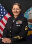 Information Systems Technician Senior Chief Petty Officer Danielle L. Dolenti