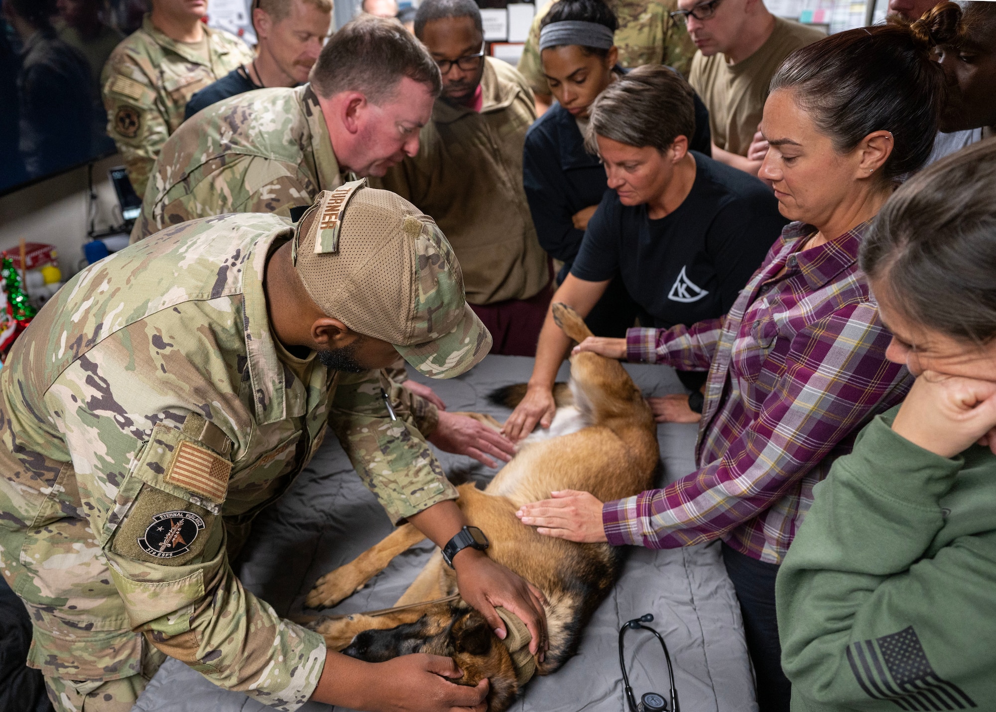 Members of an expeditionary medical group examine Military Working Dog Bonie during a Canine - Tactical Combat Casualty Care training at an undisclosed location in the U.S. Central Command area of responsibility, Dec. 13, 2023. Members learned where and how to take vitals of MWDs. The K-9 TCCC training equips healthcare specialists with indispensable knowledge, ensuring the delivery of swift and effective care to MWDs in critical situations when they might sustain injuries during military operations. (U.S. Air Force photo by Senior Airman Sarah Williams)