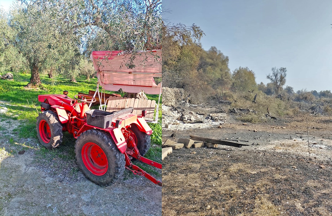 Two side-by-side photos of an olive orchard and tractor, and then a burnt wasteland.