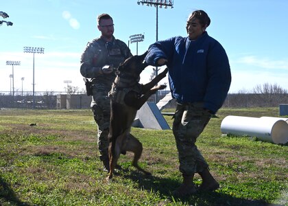 Staff Sgt. Mathew Ellison, left, 802nd Security Forces Squadron military working dog handler, commands military working dog to apprehend Staff Sgt. Adriana Barrientos, 433rd Airlift Wing Public Affairs specialist, during a demonstration for 29 Thomas C. Clark High School Junior Reserve Officer Training Corps students at Joint Base San Antonio- Medina Annex, Texas, Jan. 12, 2024.