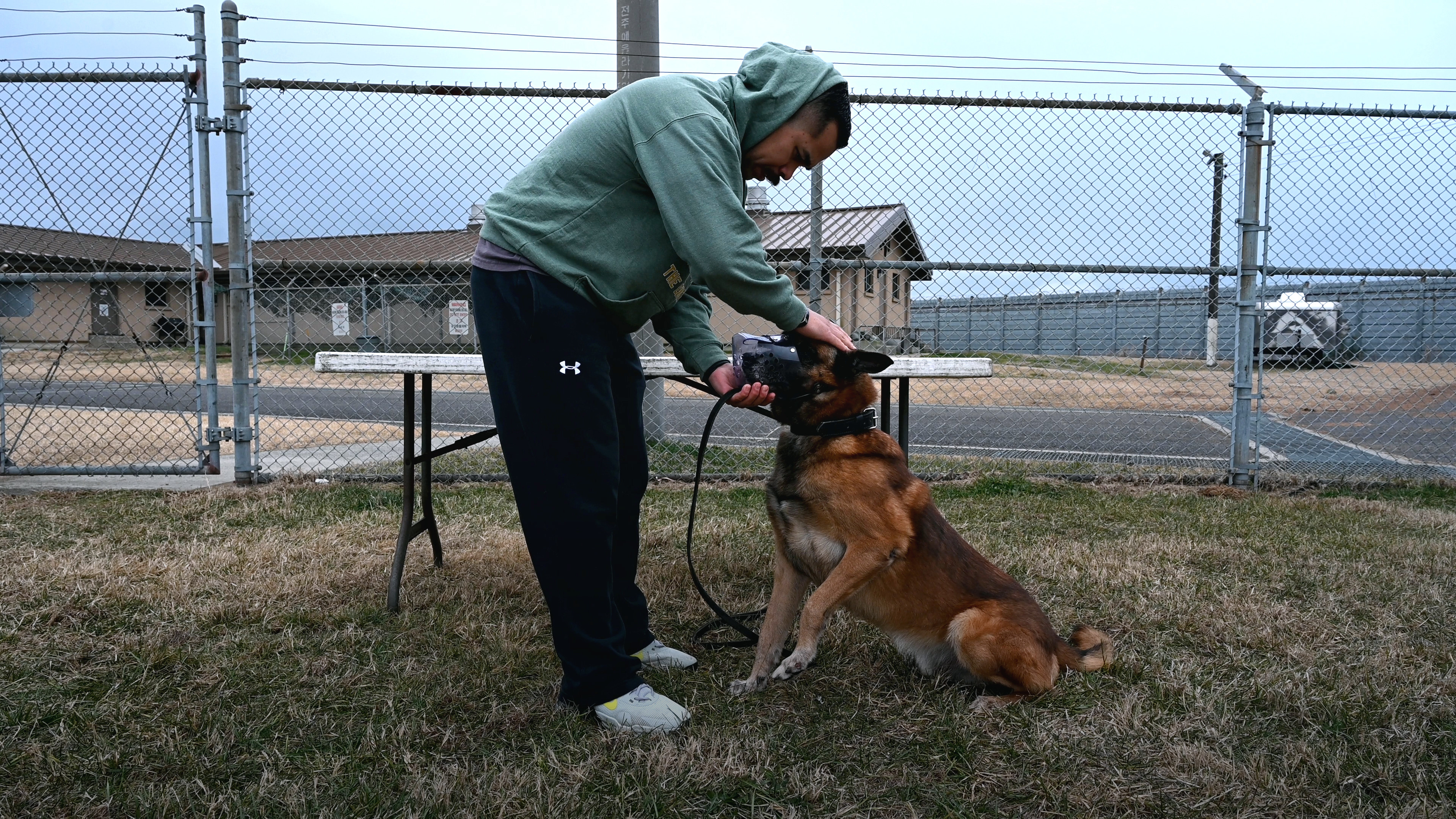 Ex police dog trainer cheap