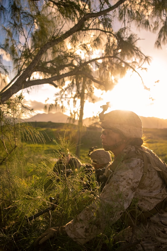 U.S. Marines with Headquarters Battalion, Marine Corps Base Hawaii, provide security during a patrol as part of a HQBN field exercise (FEX) at MCBH, Jan. 10, 2024. The FEX, spanning from Jan. 8 to 12, gave Marines the opportunity to enhance basic combat skills in a field environment.