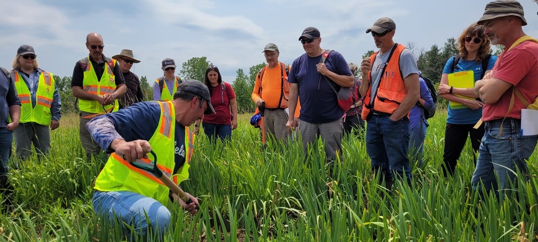 people in a field look at a wetland