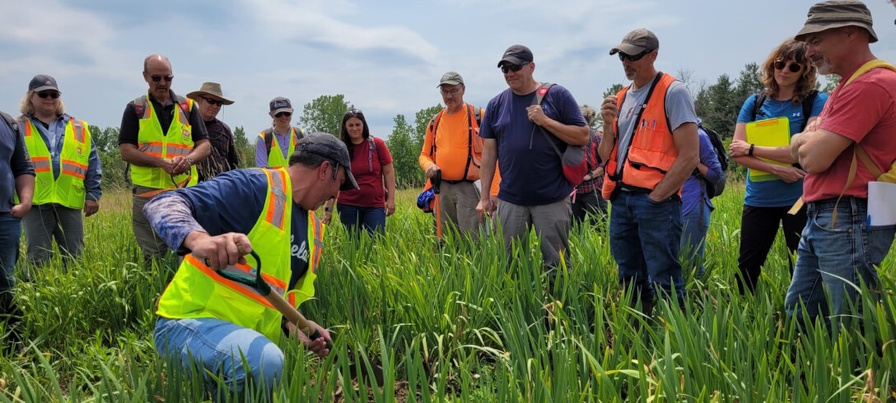 people in a field look at a wetland