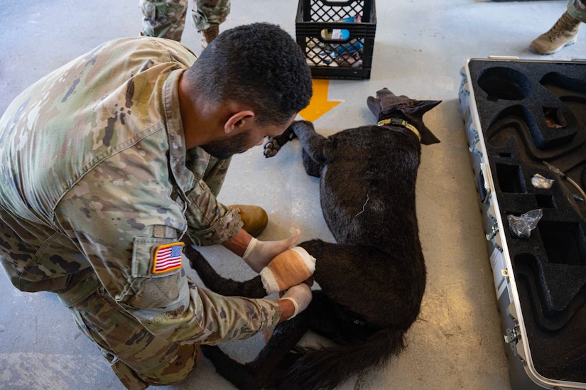 JTF-Bravo medics and first responders receive monthly military working dog trauma care and response to ensure the team is equipped to respond to a crisis at a moment's notice.
