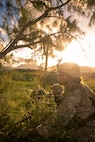 U.S. Marines with Headquarters Battalion, Marine Corps Base Hawaii, provide security during a patrol as part of a HQBN field exercise (FEX) at MCBH, Jan. 10, 2024. The FEX, spanning from Jan. 8 to 12, gave Marines the opportunity to enhance basic combat skills in a field environment. (U.S. Marine Corps photo by Lance Cpl. Dezmond Browning)