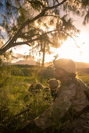 U.S. Marines with Headquarters Battalion, Marine Corps Base Hawaii, provide security during a patrol as part of a HQBN field exercise (FEX) at MCBH, Jan. 10, 2024. The FEX, spanning from Jan. 8 to 12, gave Marines the opportunity to enhance basic combat skills in a field environment. (U.S. Marine Corps photo by Lance Cpl. Dezmond Browning)