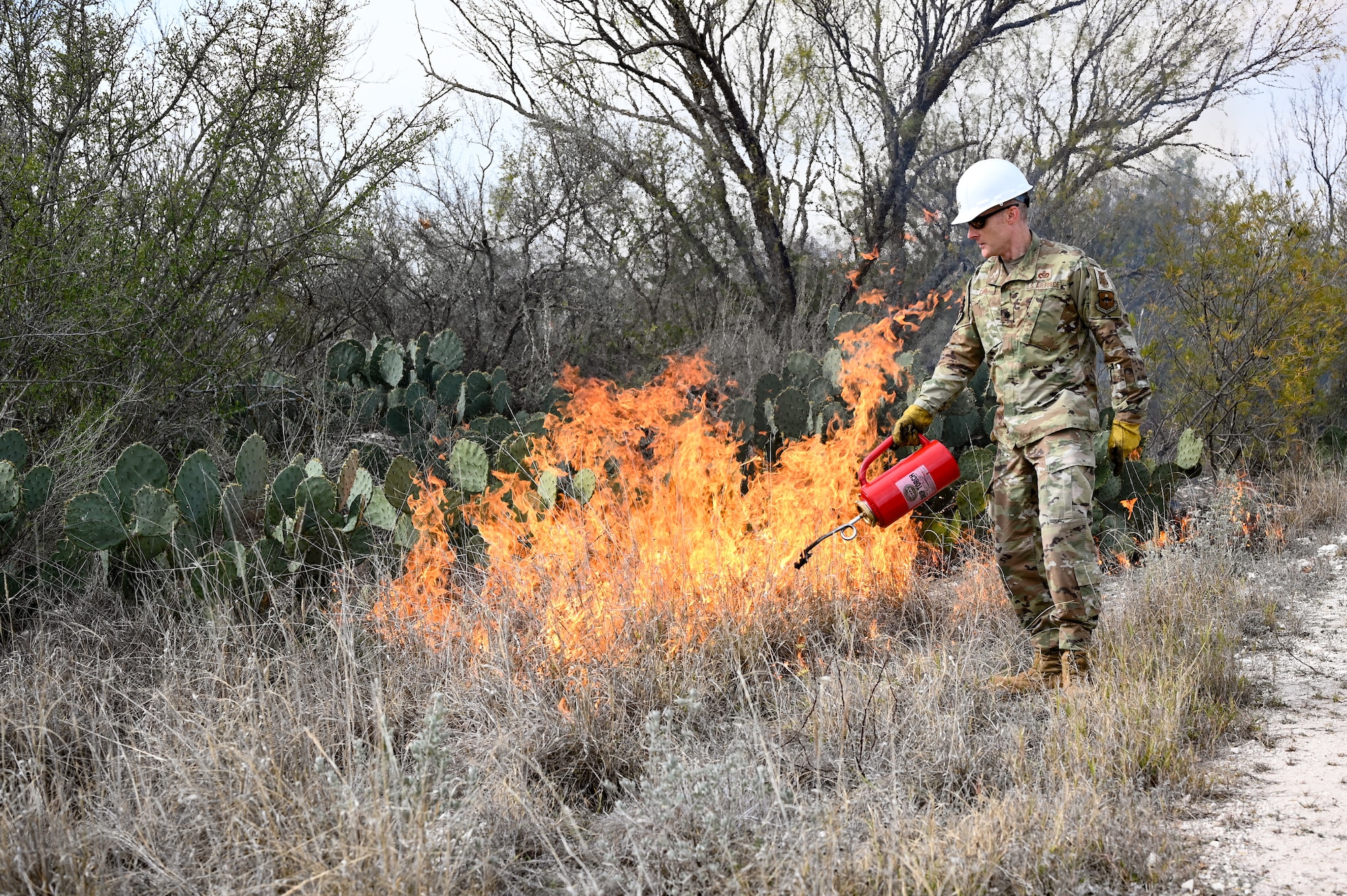 The U.S. The Air Force Wildland Fire Crew remained on-site for at least two days following the burn to ensure that all areas were safe. (U.S. Air Force photo by Airman 1st Class Keira Rossman)