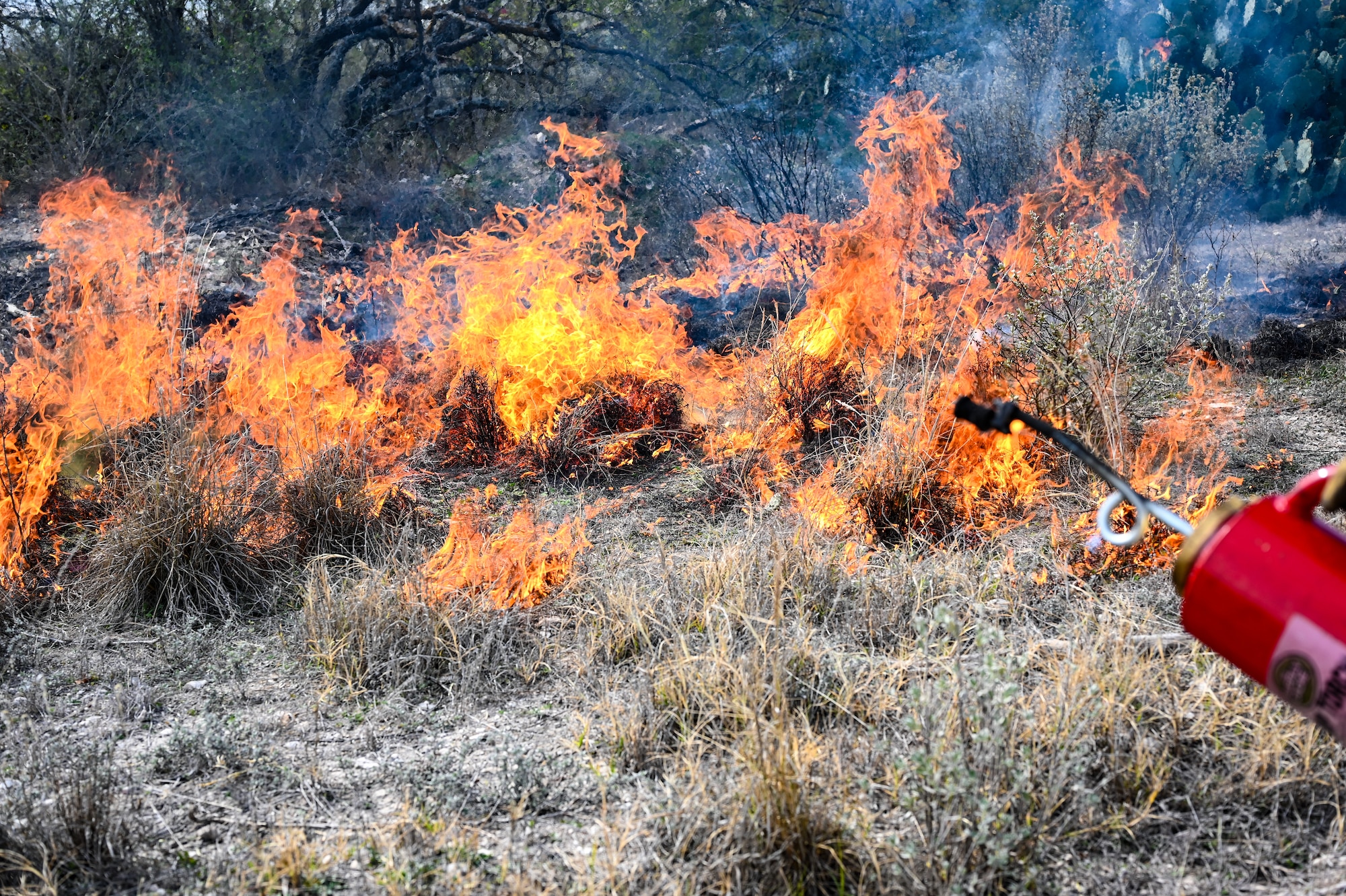 The U.S. The Air Force Wildland Fire Crew remained on-site for at least two days following the burn to ensure that all areas were safe. (U.S. Air Force photo by Airman 1st Class Keira Rossman)