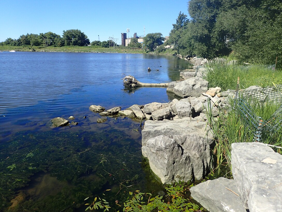 Large, anchored logs and stones protect the shoreline along a restored reach of the Buffalo River near Katherine Street in Buffalo, New York.