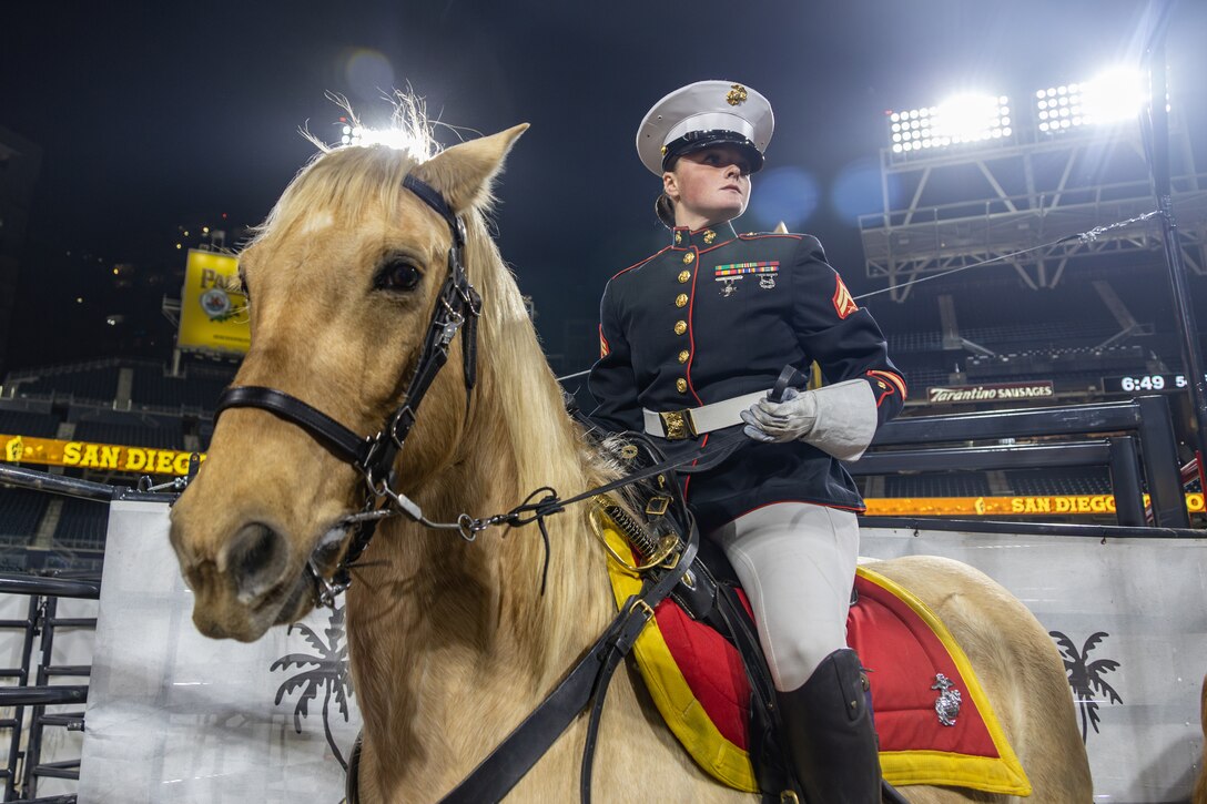 A Marine in dress uniform sits on a horse with background lights in a rodeo ring.
